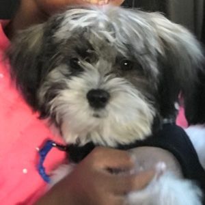 Meet your Posher, Kaye